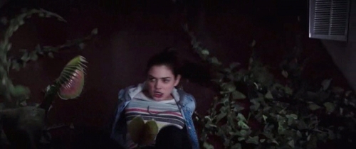 odeyarush04628.jpg