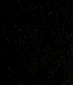odeyarush_thegiver_00594.jpg