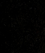 odeyarush_thegiver_00597.jpg