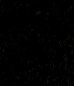 odeyarush_thegiver_00625.jpg