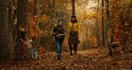 odeya_rush_timothy_green_03958.jpg
