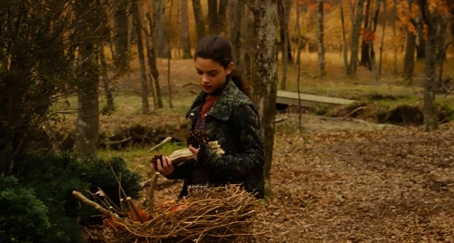 odeya_rush_timothy_green_03970.jpg