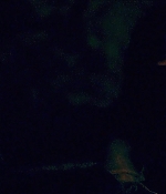 wearewhatweare00172.jpg