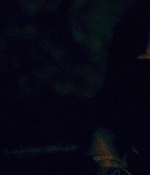 wearewhatweare00173.jpg